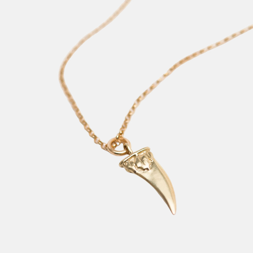 Diente Necklace by Rebecca Pinto - At Present Jewelry