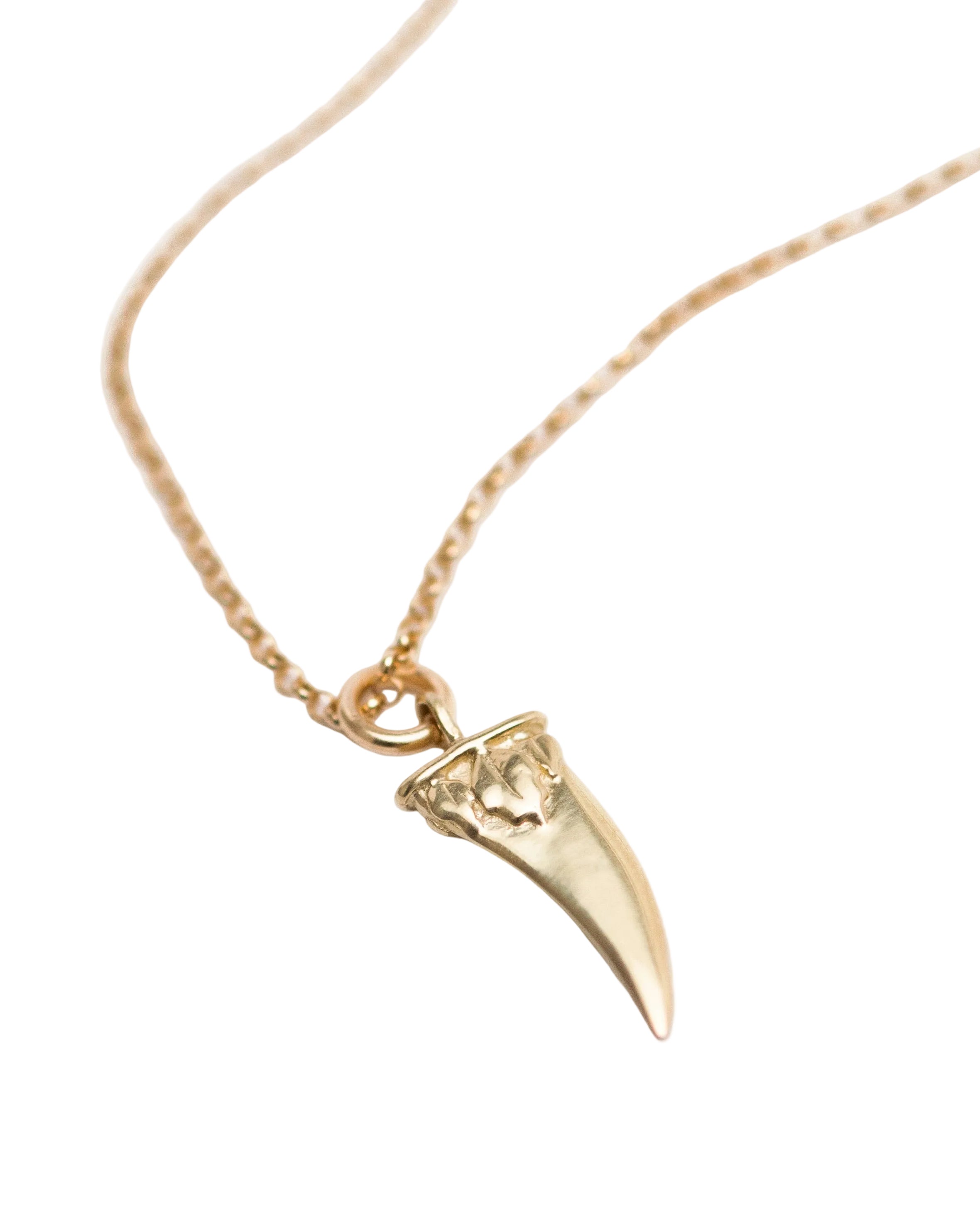 Diente Necklace by Rebecca Pinto - At Present Jewelry