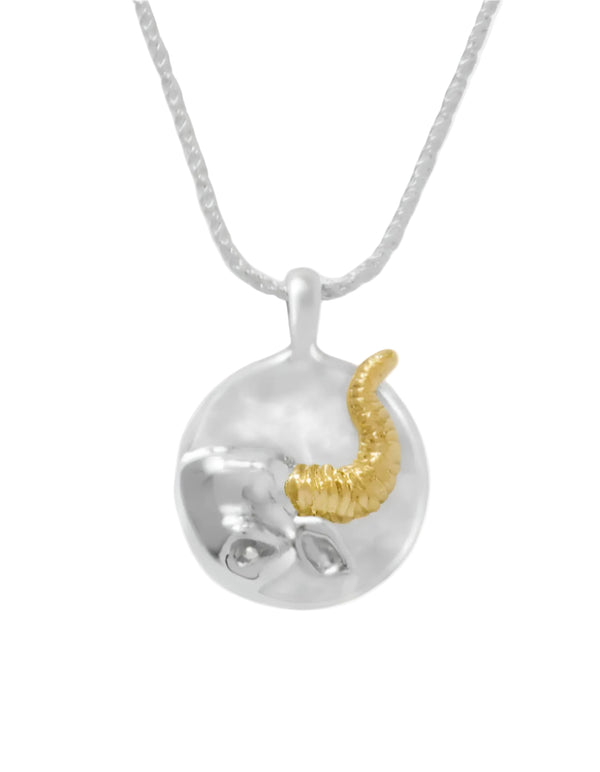 Zodiac Pendant Necklace by Carina Hardy - At Present Jewelry