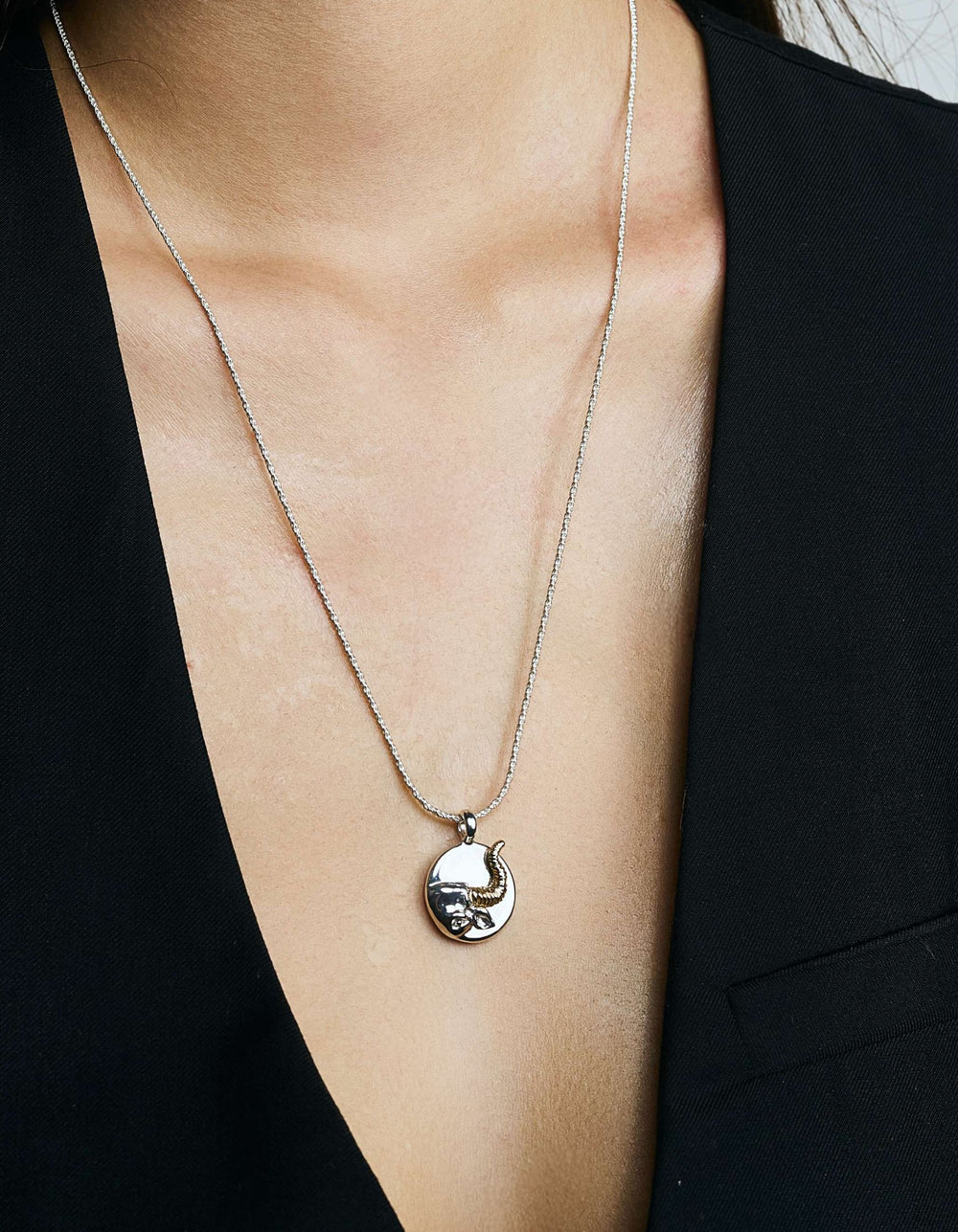 Zodiac Pendant Necklace