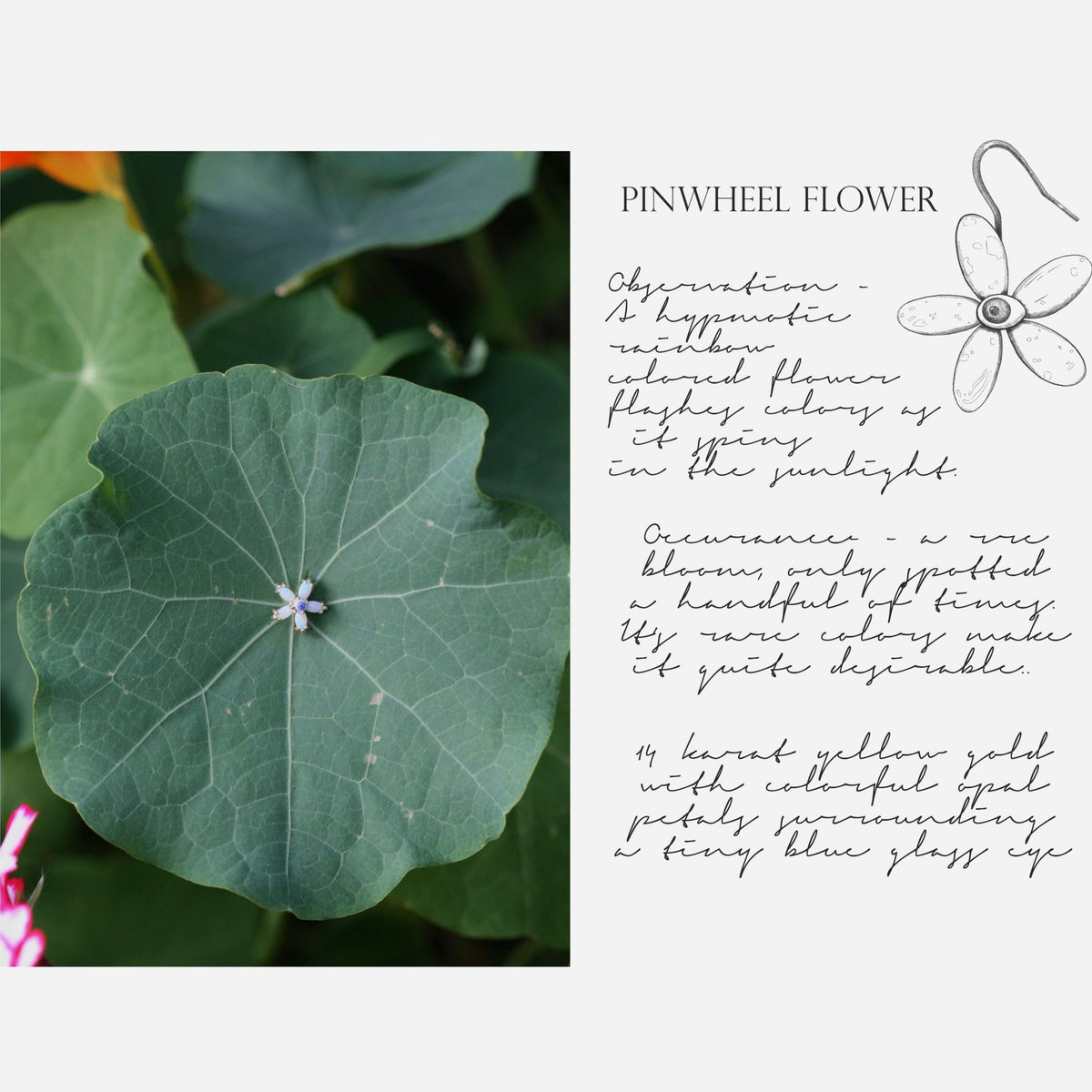 Kimberly Doyle Opal Pinwheel Flower 2